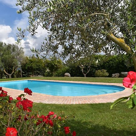 La Cavetta Country House Trevignano Romano Extérieur photo