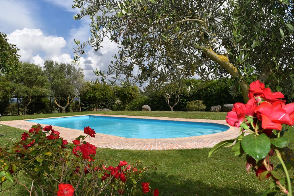 La Cavetta Country House Trevignano Romano Extérieur photo